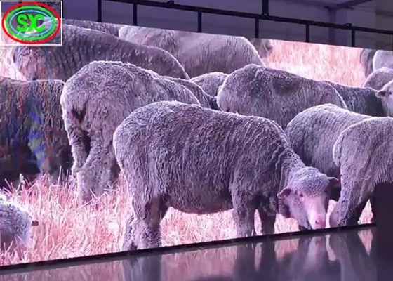 El pilar del cubo llevó la pared video de la pantalla, disipación de calor natural llevada interior de la tablilla de anuncios P3