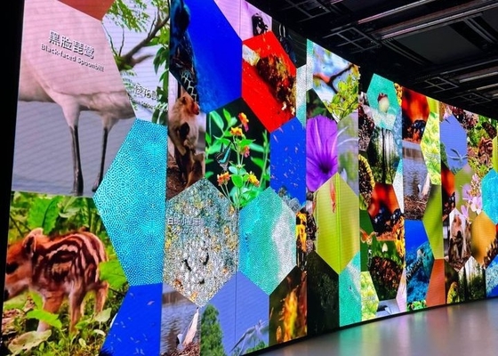 Método de Mantenimiento del Servicio de la Parte Trasera de la Pared de Medios LED Estable Personalizada con Resolución de Módulo 32*32 y Tamaño de Gabinete Personalizado