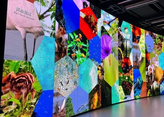 Pantalla de alquiler de aluminio moldeado personalizable sala de reuniones Iglesia HD Pantalla de pantalla LED flexible COB P0.9