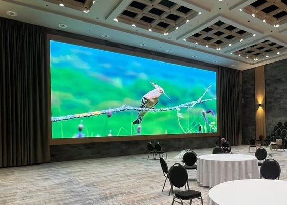 384mm x 192mm Modulo tamaño P6 Interior Full Color LED Video Wall con el gabinete super delgado y 2500nits Brillo