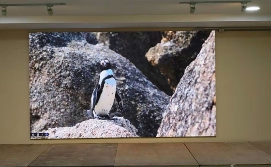 Display LED de resolución de módulo de 256*128 con tono fino y chip de tubo de color completo certificado CE/ROHS/FCC