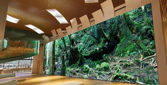 P3 Pantalla LED a todo color con resolución de módulo 64 * 64 y peso de módulo de 0,36 kg para visualización de alta definición
