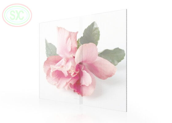 Pantalla LED transparente de malla de vidrio comercial para interiores P3.91-7.82 a todo color