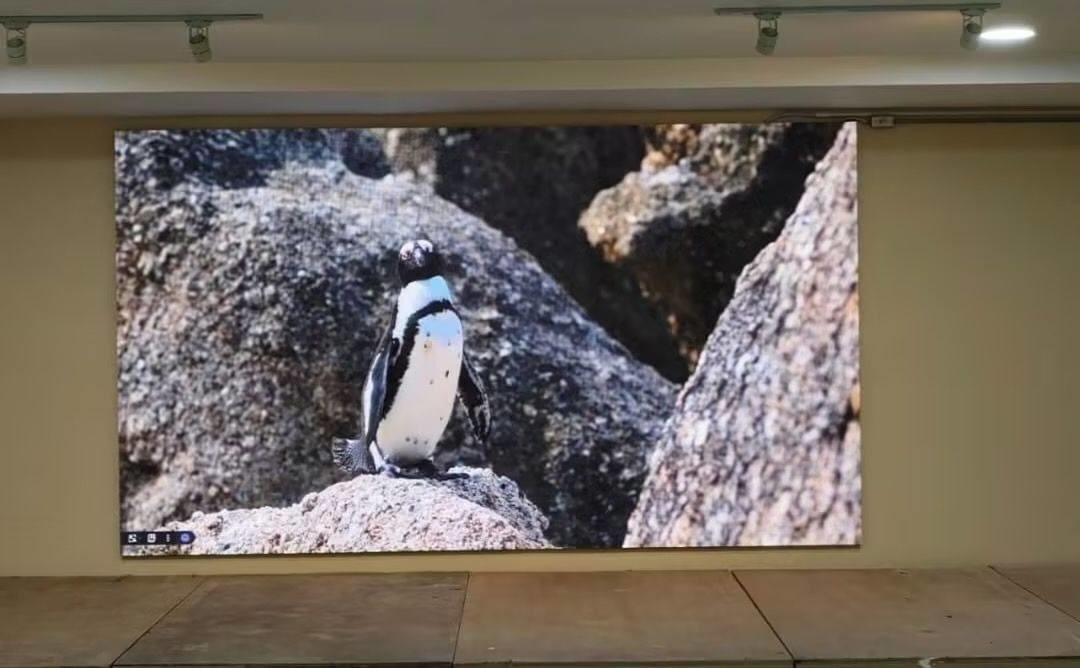 Display LED de resolución de módulo de 256*128 con tono fino y chip de tubo de color completo certificado CE/ROHS/FCC