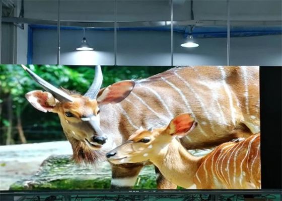 Buen precio P1.923 Pantalla LED a todo color interior SMD1515 Ultra alta definición montada en la pared en línea