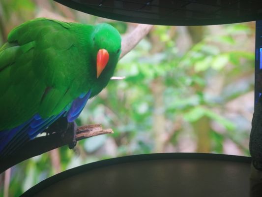 Gabinete de aluminio P5 con pantalla LED fija para mantenimiento de servicio trasero personalizable