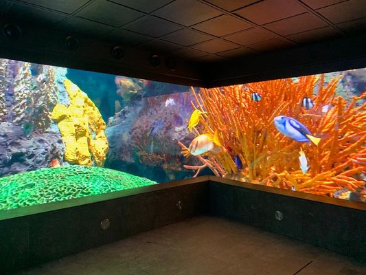 P5 Publicidad al aire libre pantalla curva LED SMD2121, Brillo 2500 nits