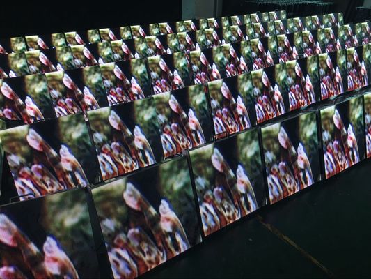 Buen precio Pared de alquiler al aire libre 6500K-9500K del fondo de pantalla de la etapa de la prenda impermeable de la pantalla LED en línea